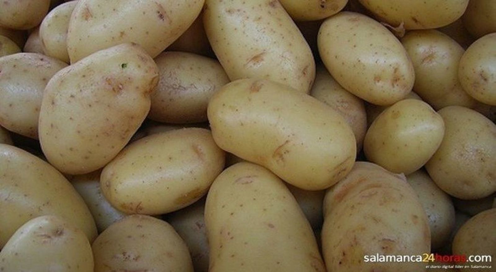 La Junta pide coordinación en la campaña de patata para adaptarse a la demanda del mercado
