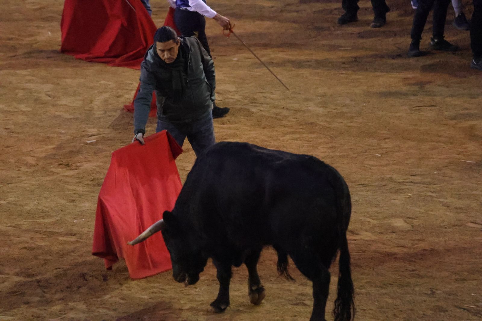 Capea y desencierro de domingo tarde en el Carnaval del Toro 2026