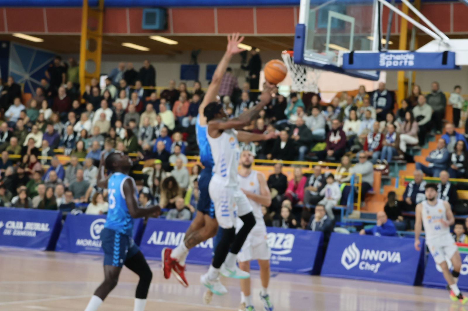 GALERÍA | El CB Zamora recibe al Melilla Baloncesto en busca de la victoria en su primer partido del año