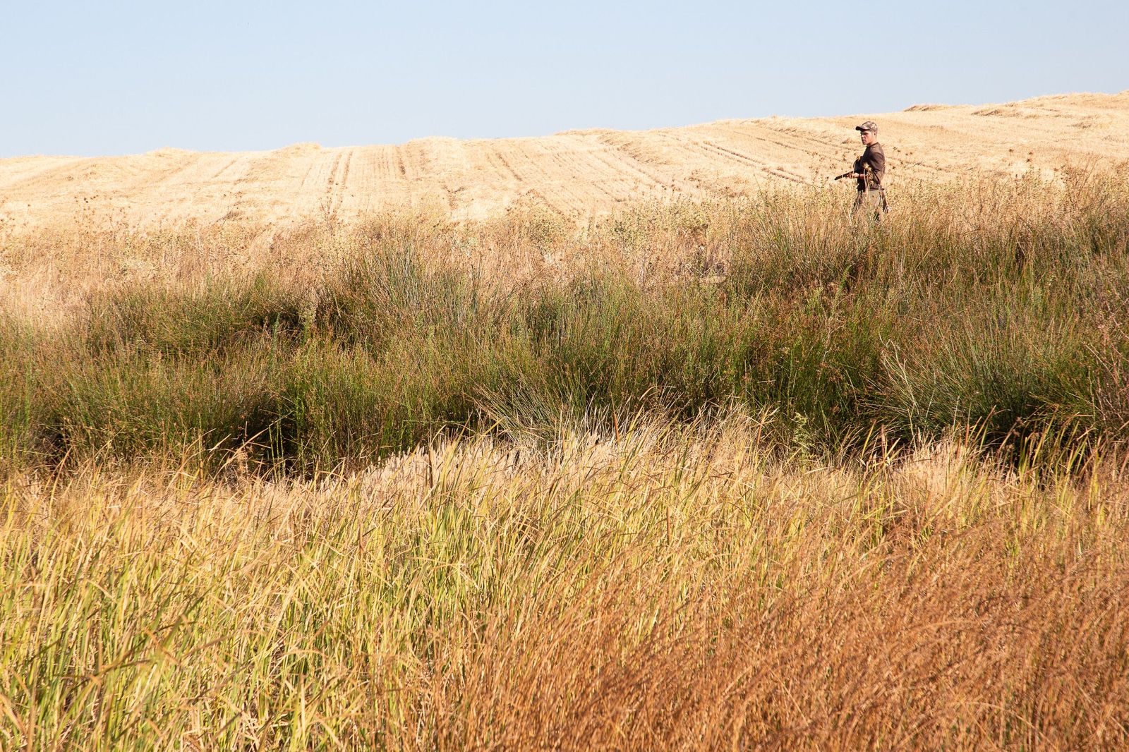 Un cazador en tierras castellanoleonesas