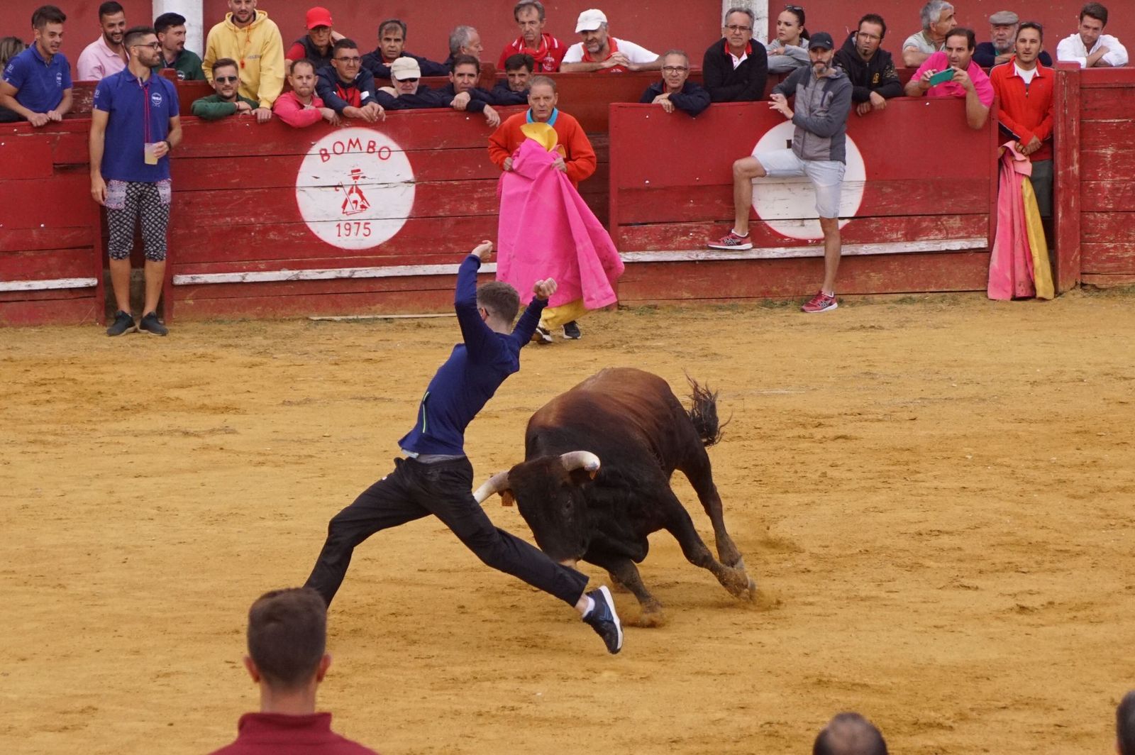 22bfaccb-91b9-4595-93a5-18dee46bd9f6