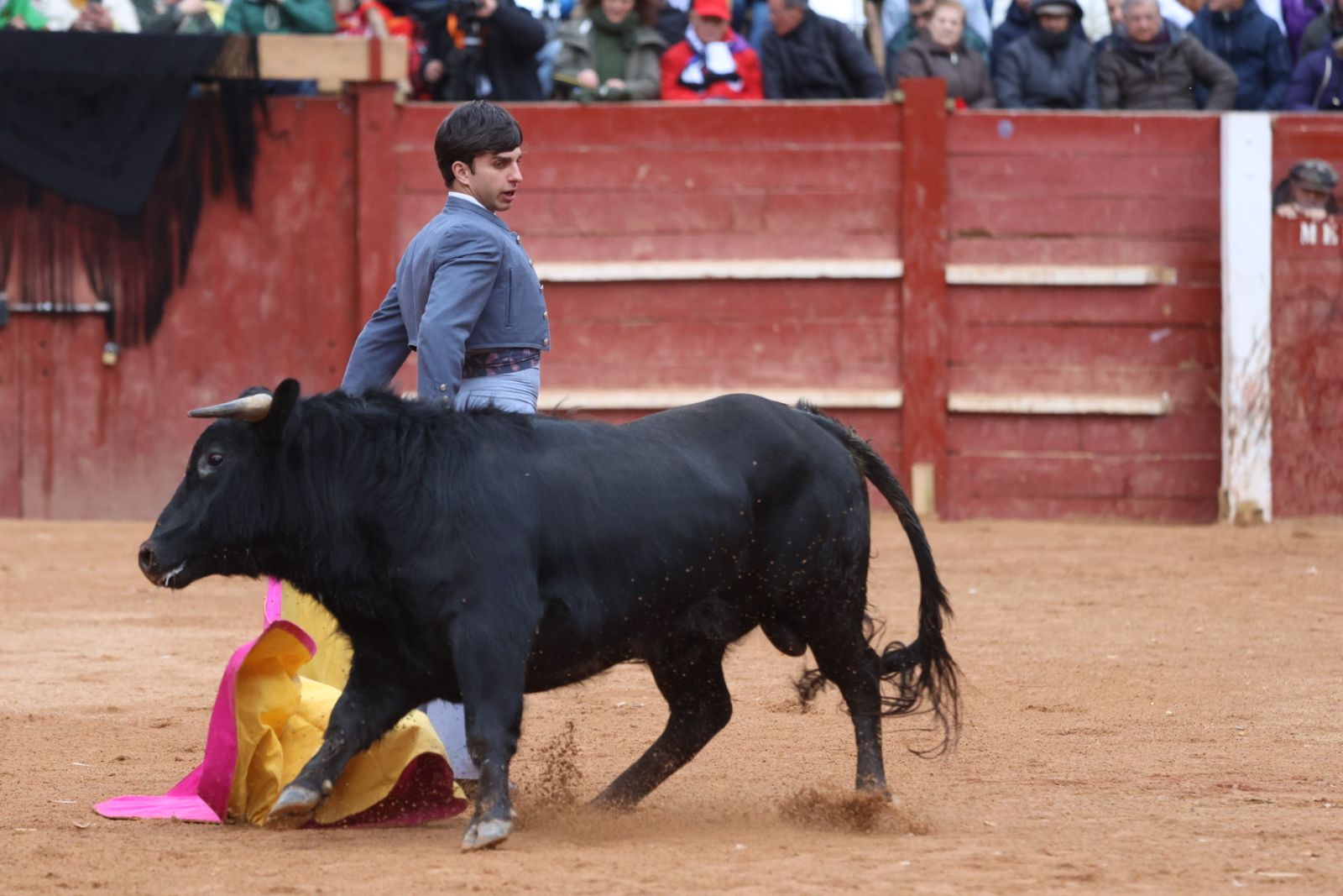 Novillada sin picadores del bolsín taurino y rejones en Ciudad Rodrigo