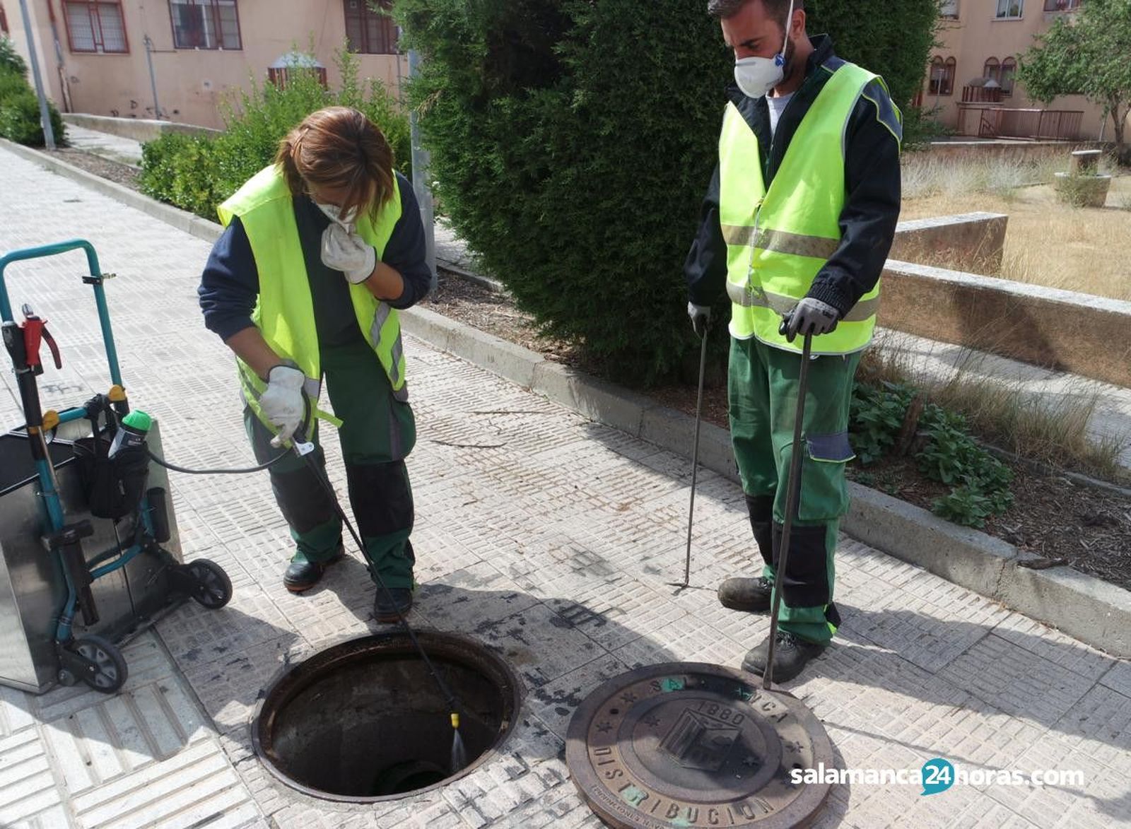 Control de plagas (20) 1200x880