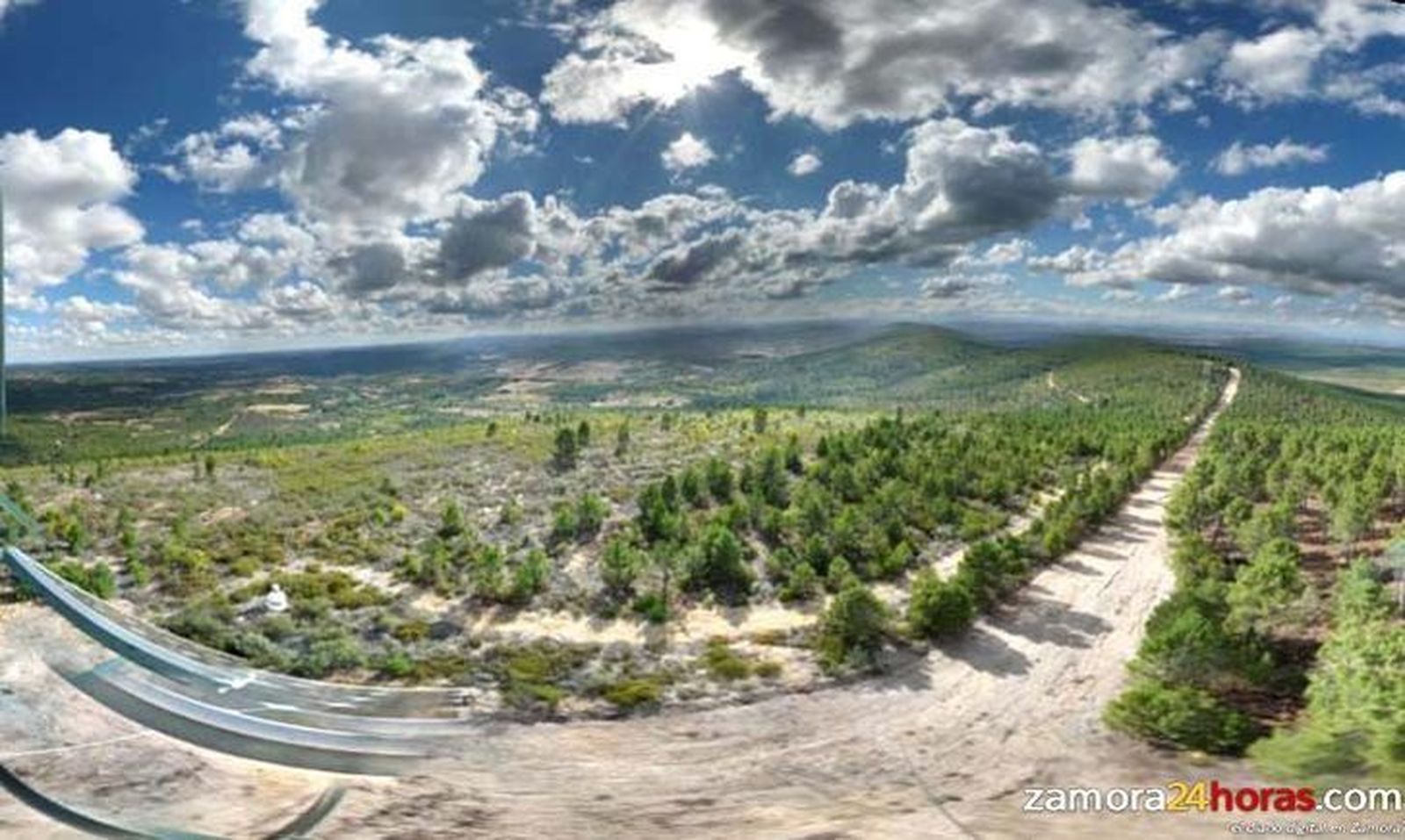 El 51% de la superficie de Castilla y León, 4,8 millones de hectáreas, es forestal