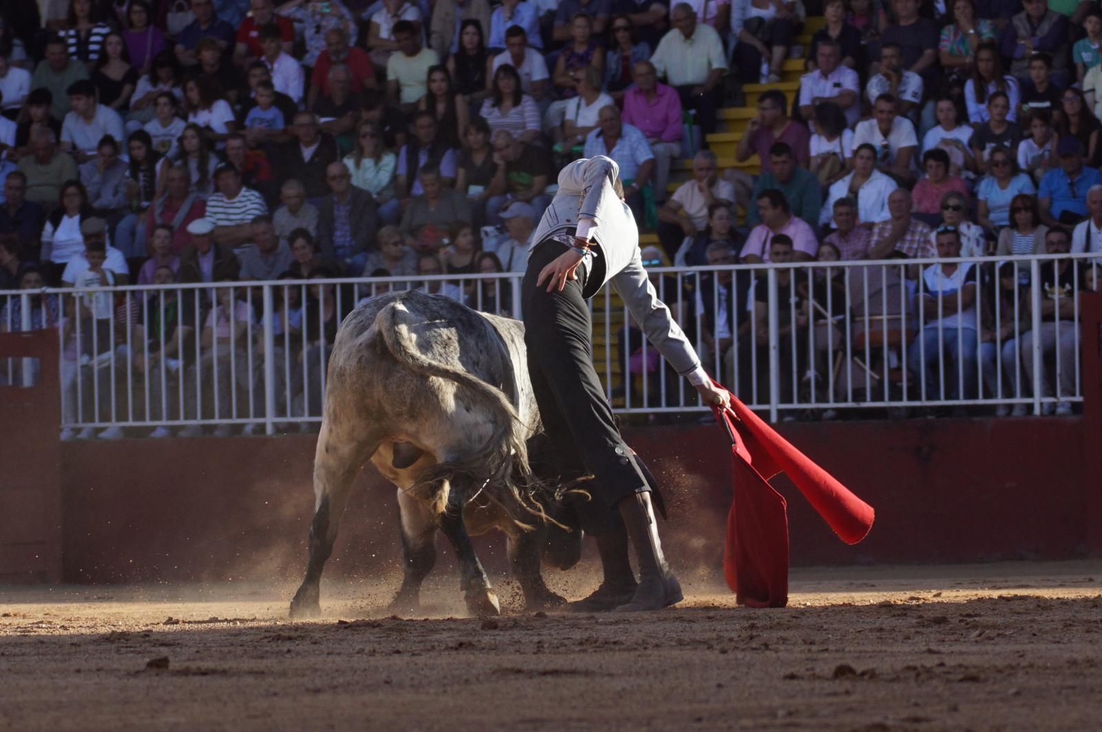 whatsapp-image-2024-09-07-at-20-48-15-3