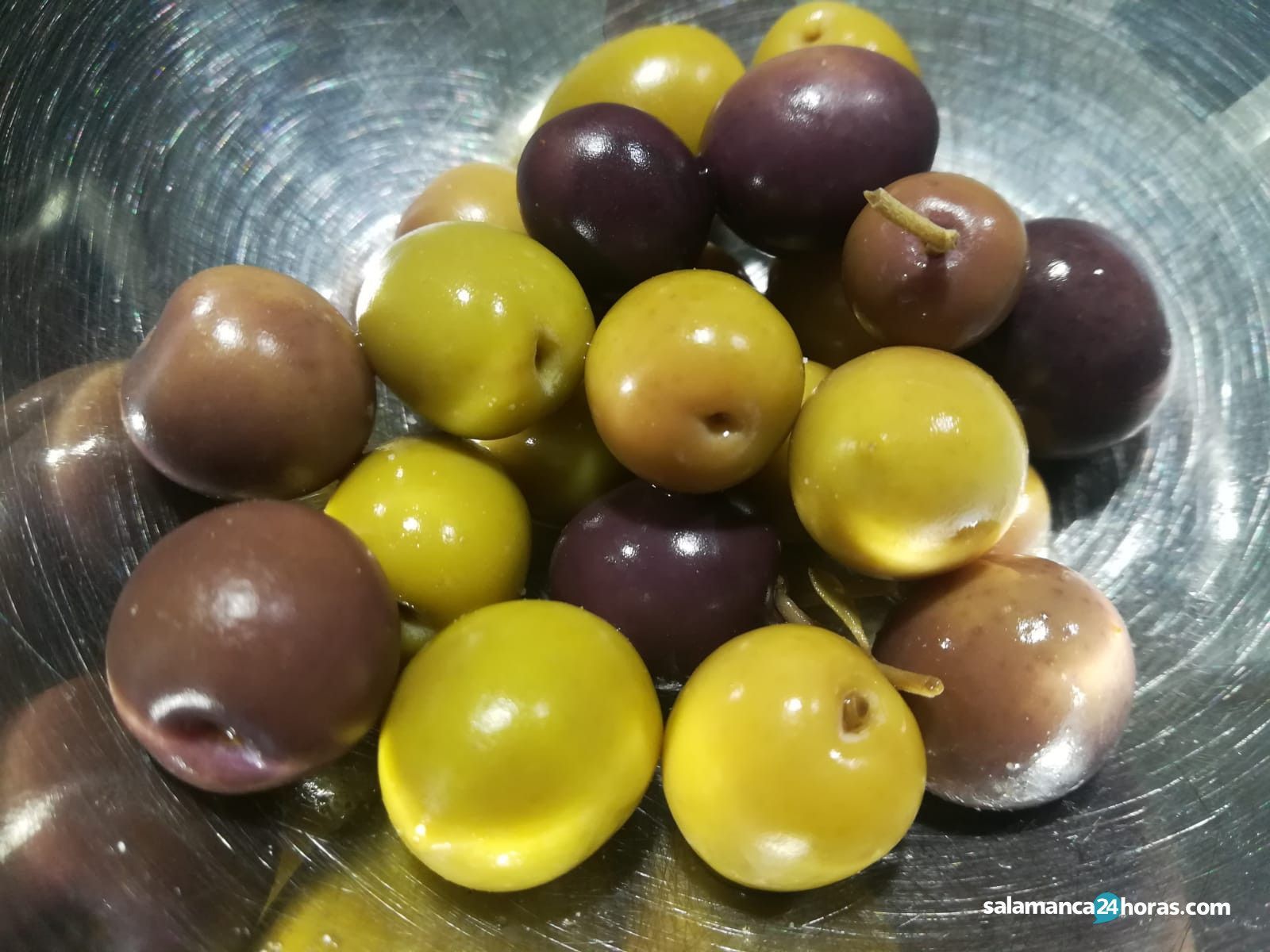 Aceitunas. Foto de archivo