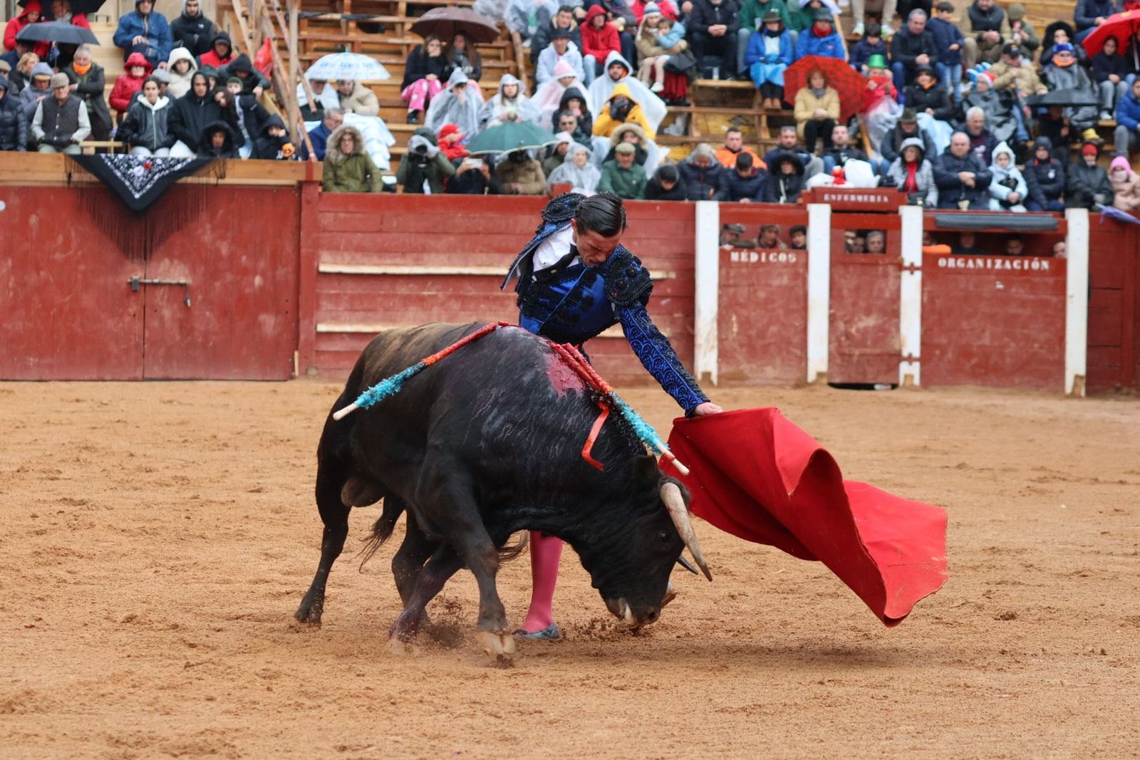 Novillada con picadores para Diego Bastos, Cid de María, Javier Zulueta y Jesús Yglesias en Ciudad Rodrigo