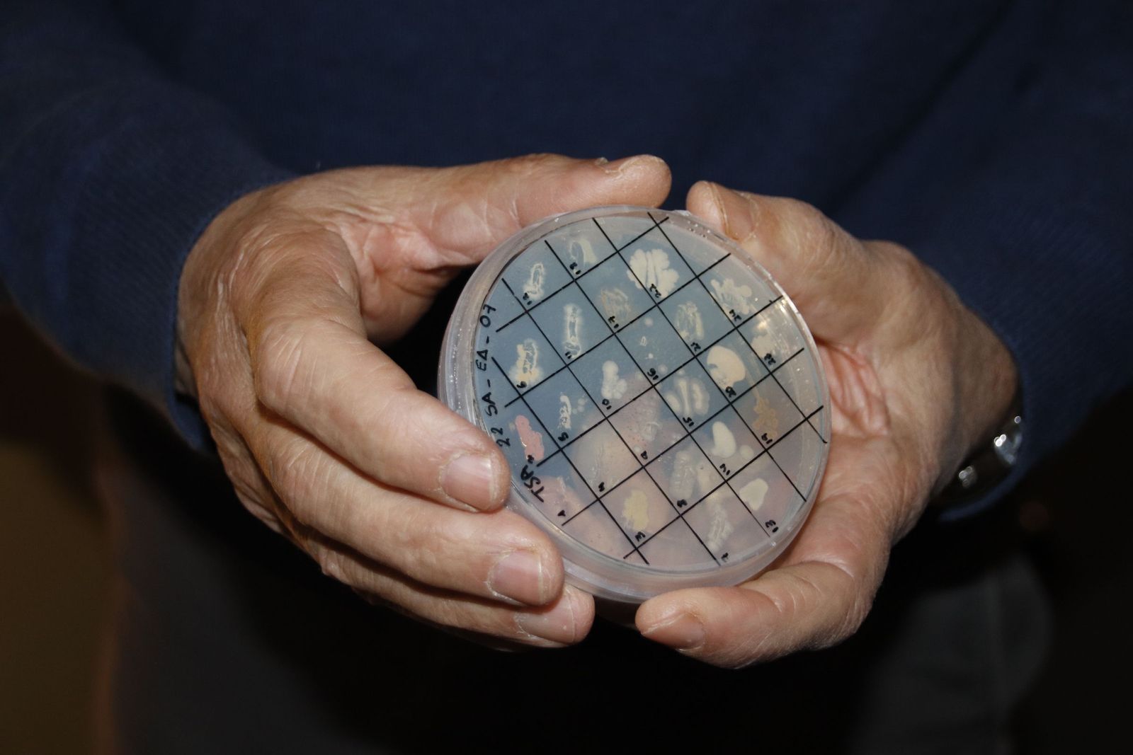 El vicerrector de Investigación y Transferencia presenta el proyecto internacional ‘MicroMundo’ para la búsqueda de nuevos antibióticos.