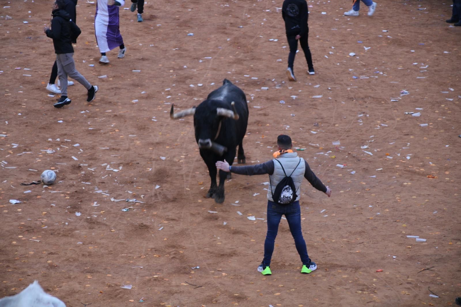 encierro-mansos-carnaval-del-toro-8