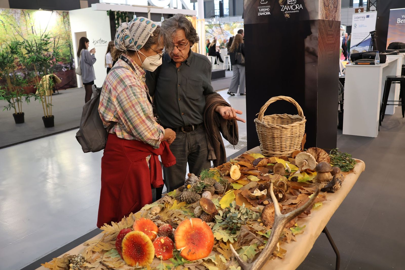 Zamora en Intur 2025 (21).JPG