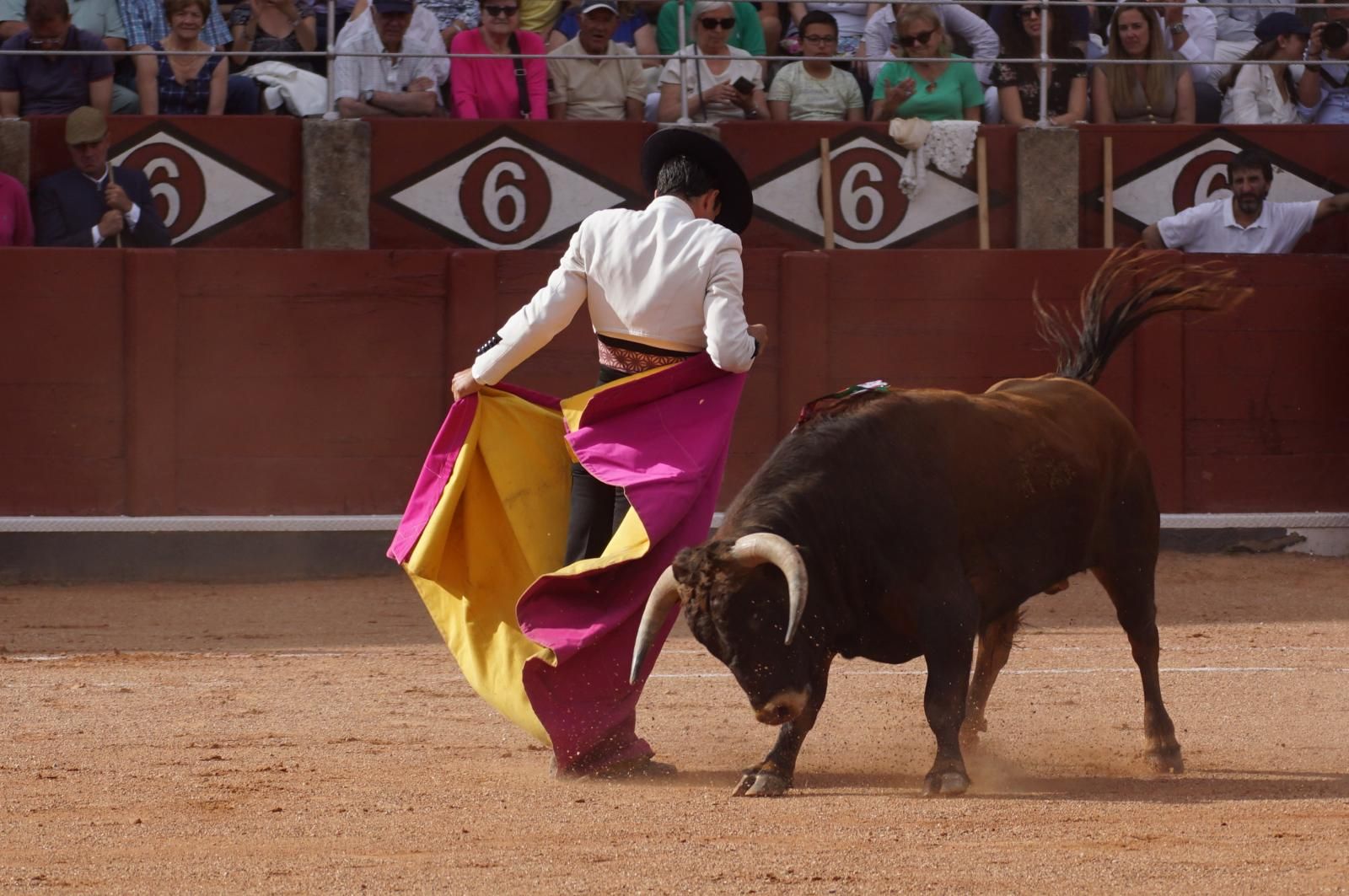 whatsapp-image-2025-06-12-at-21-25-03-2