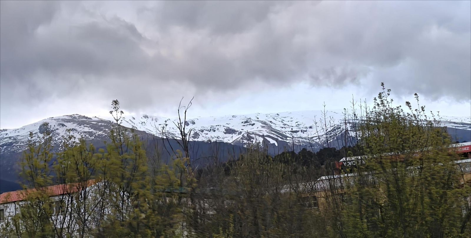 Sierra de Béjar nevada. S24H.