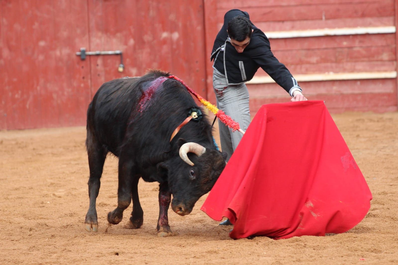 whatsapp-image-2023-02-21-at-17-52-09