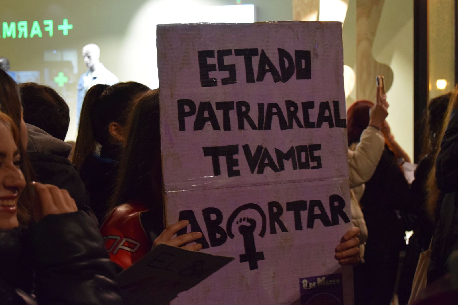 manifestacion-por-el-8m-en-zamora-5