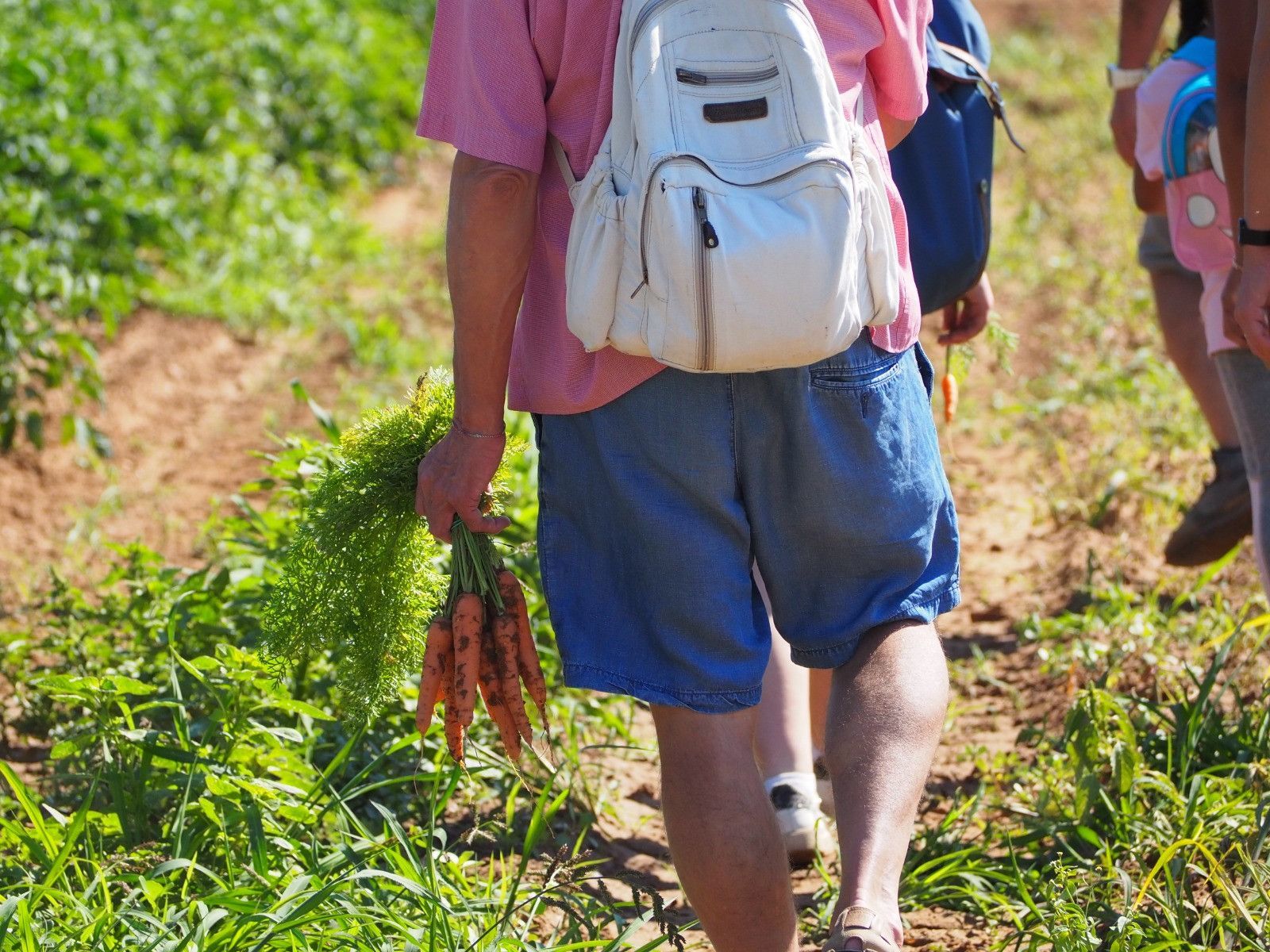 WhatsApp Image 2020 08 01 at 14.12.04