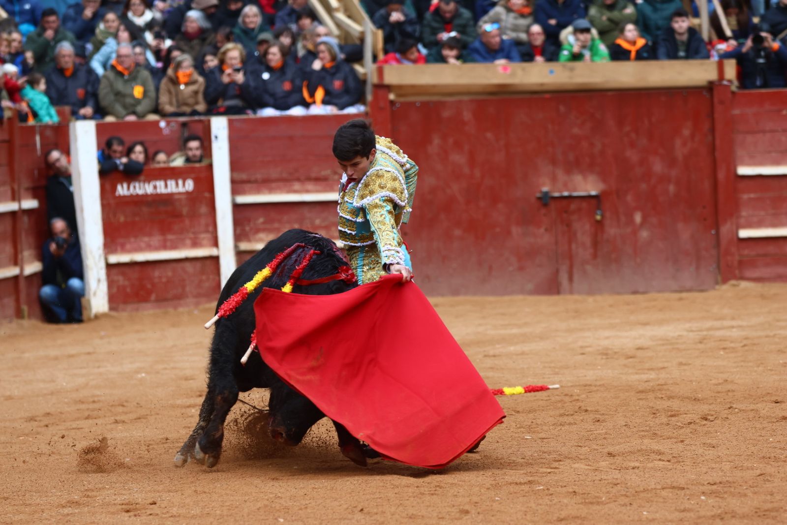 Novillada con picadores de lunes en el Carnaval del Toro de Ciudad Rodrigo 2026