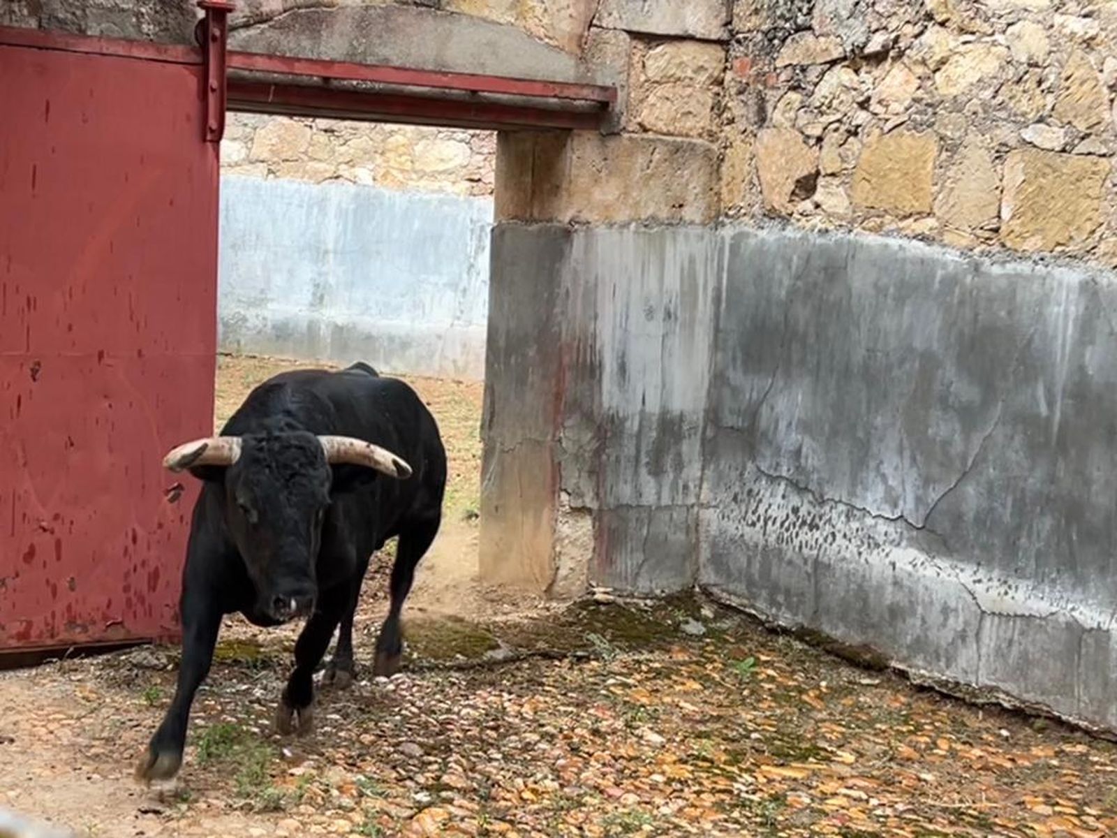 whatsapp-image-2023-09-16-at-12-59-24