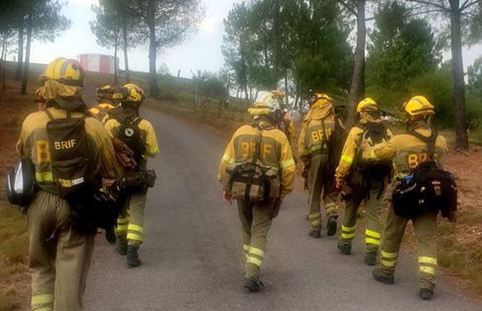 BRIF Laza se desplazan al incendio de Val de Santa María