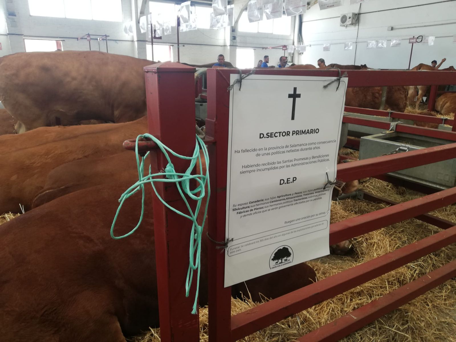 Esquelas del sector primario colocadas en Salamaq