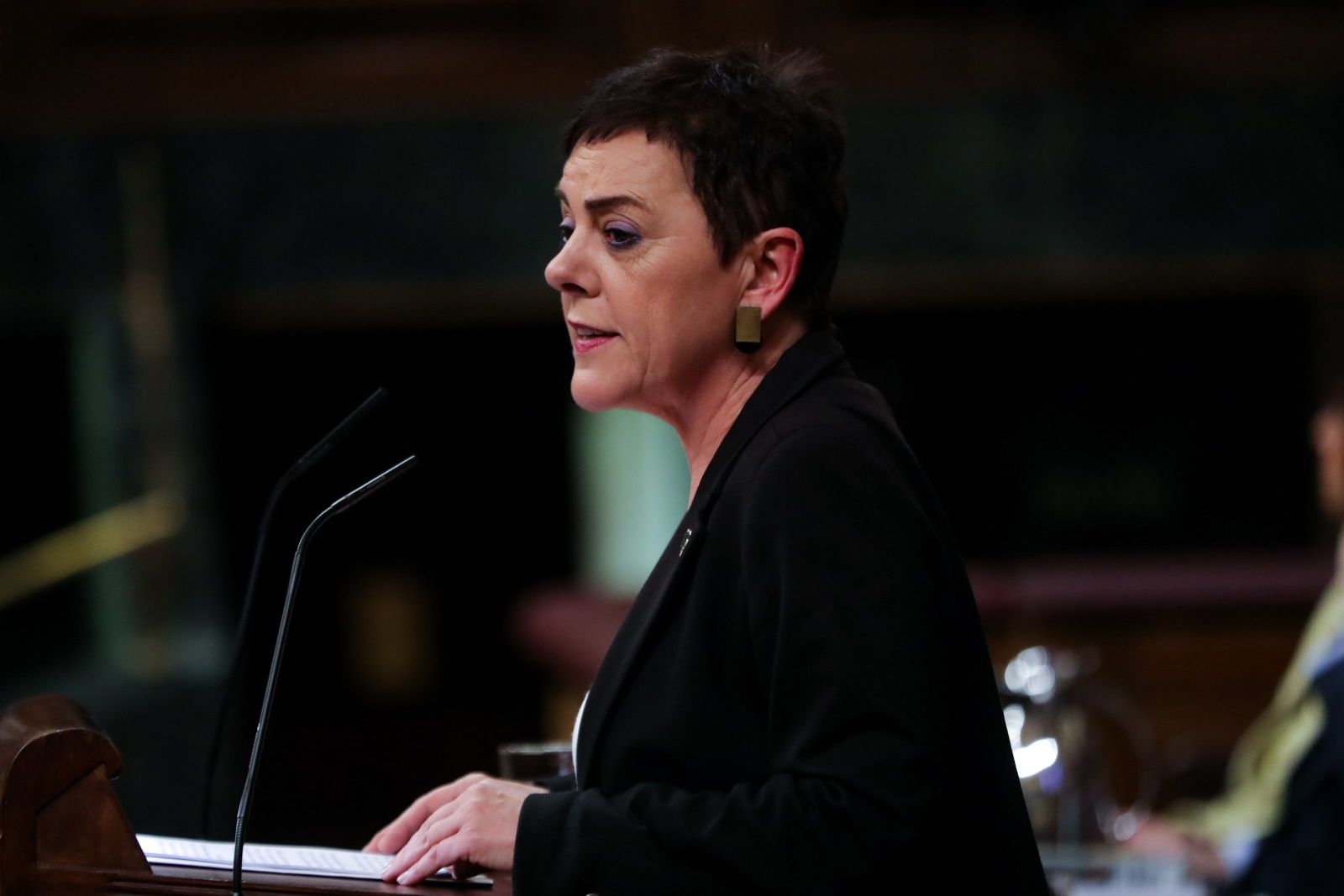 La portavoz de EH Bildu en el Congreso de los Diputados, Mertxe Aizpurua, interviene desde la tribuna del Congreso de los Diputados