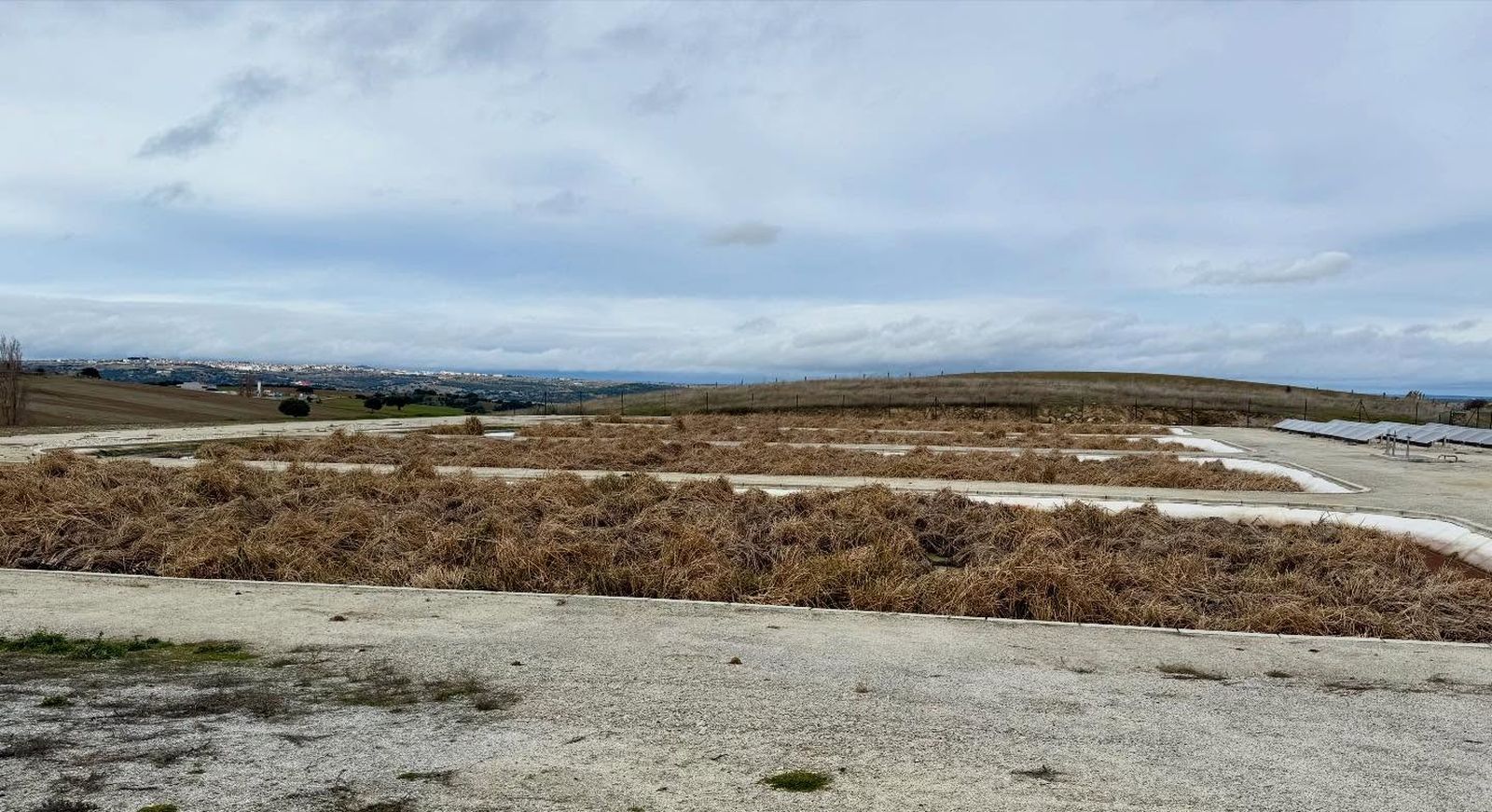 Depuradora de macrofitas de Cespedosa de Tormes