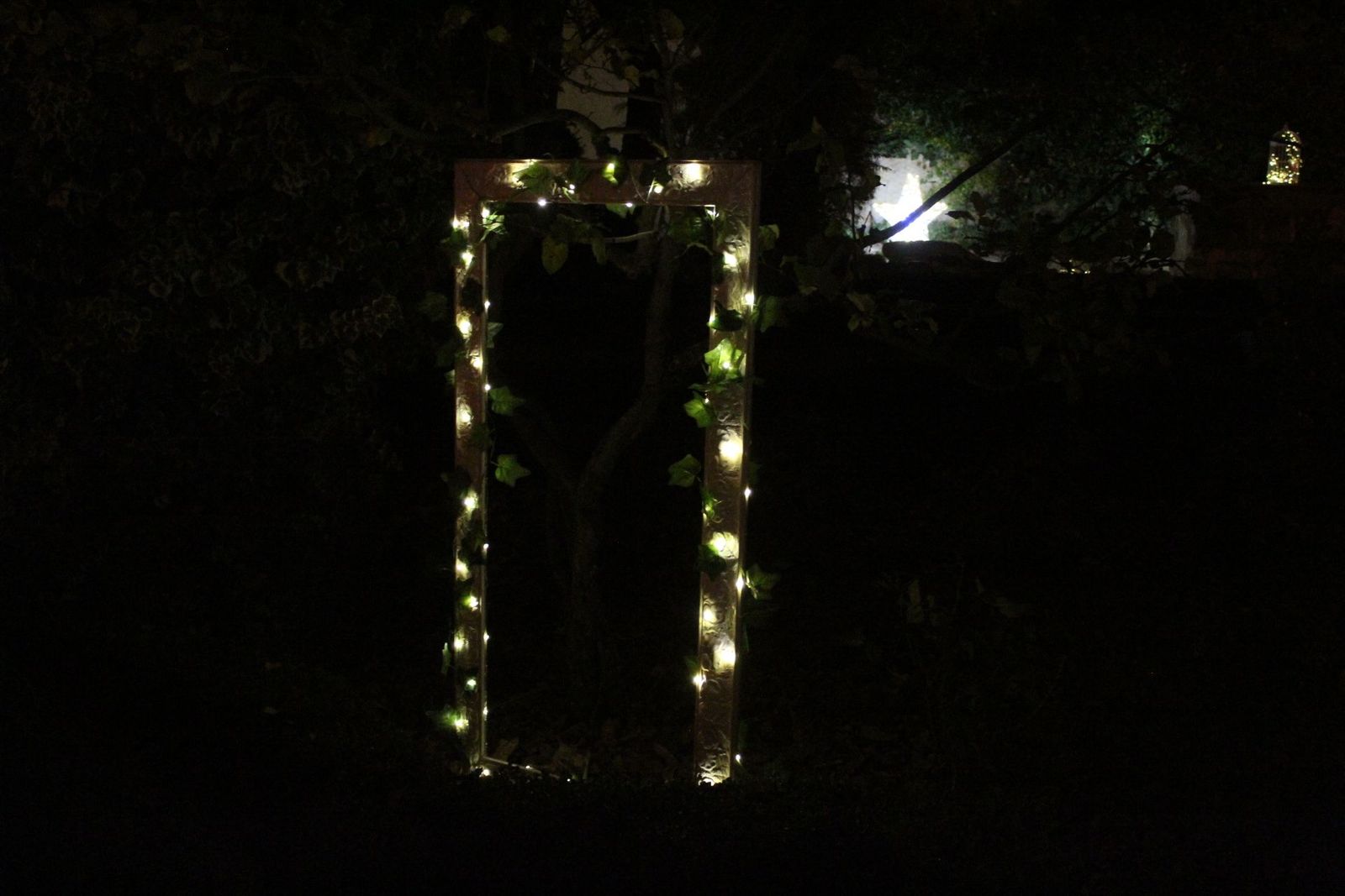 20231204213545-img-6440