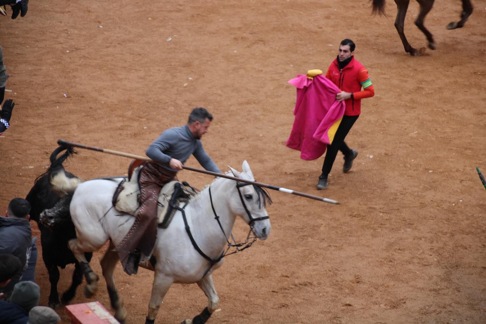 Encierro a Caballo en el Carnaval del Toro 2026 de Ciudad Rodrigo