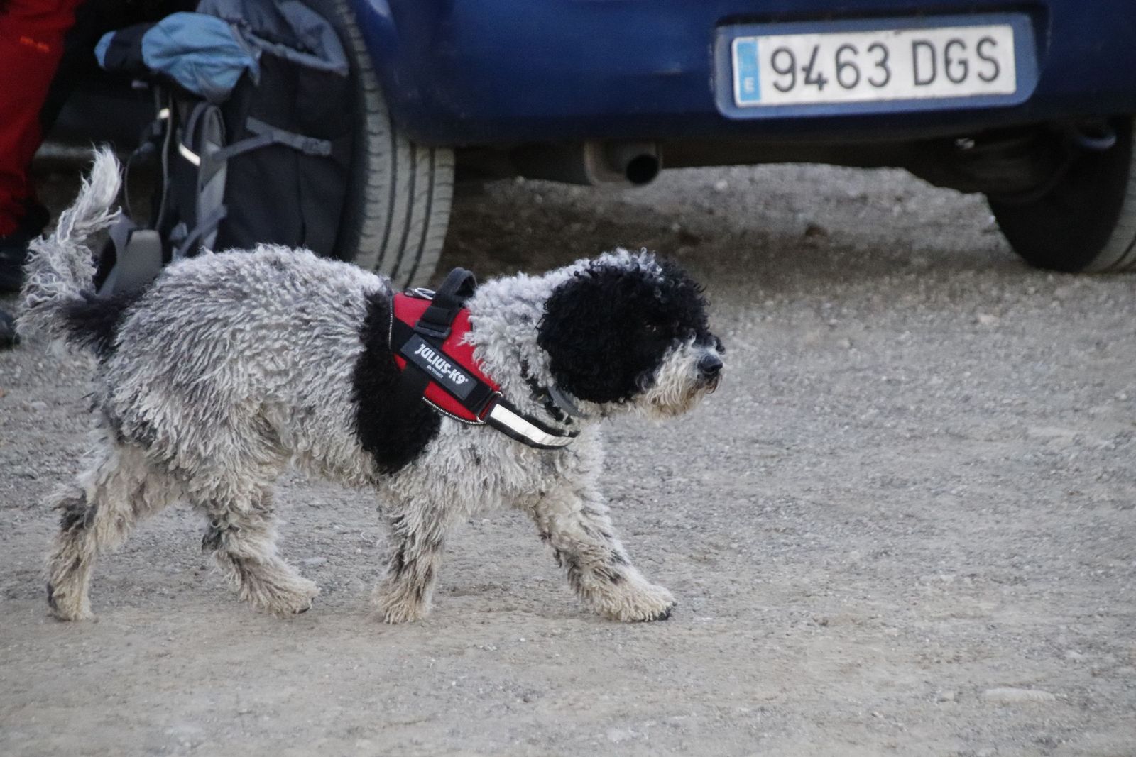 20230105091151-mg-9594