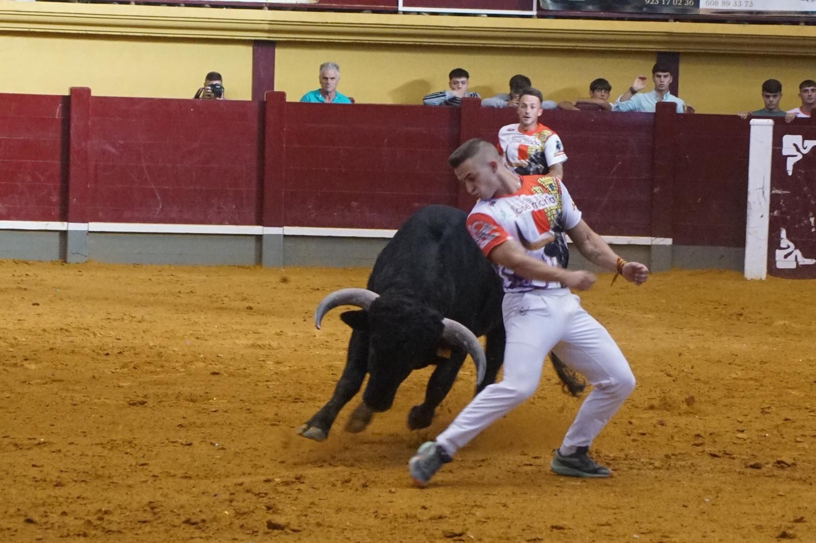 Alba de Tormes celebra un nuevo concurso de cortes
