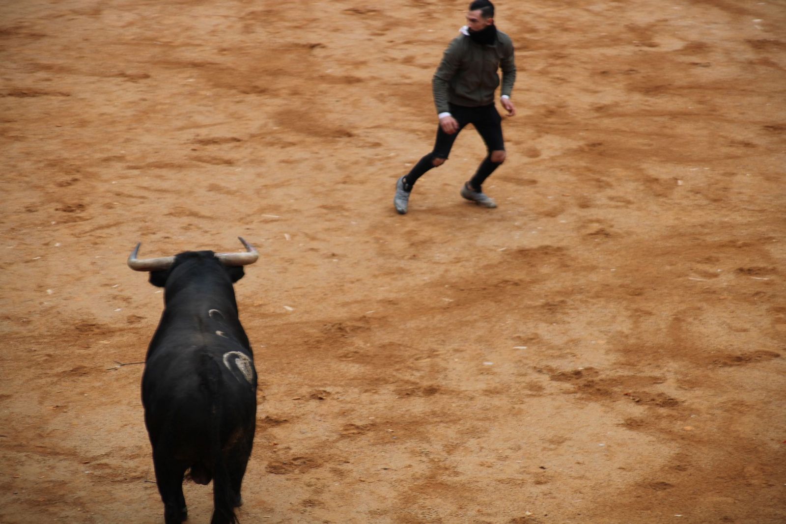 whatsapp-image-2025-03-01-at-13-18-51-3