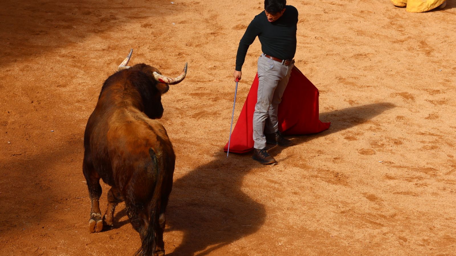 Capea de mañana en el martes del Carnaval del Toro de Ciudad Rodrigo