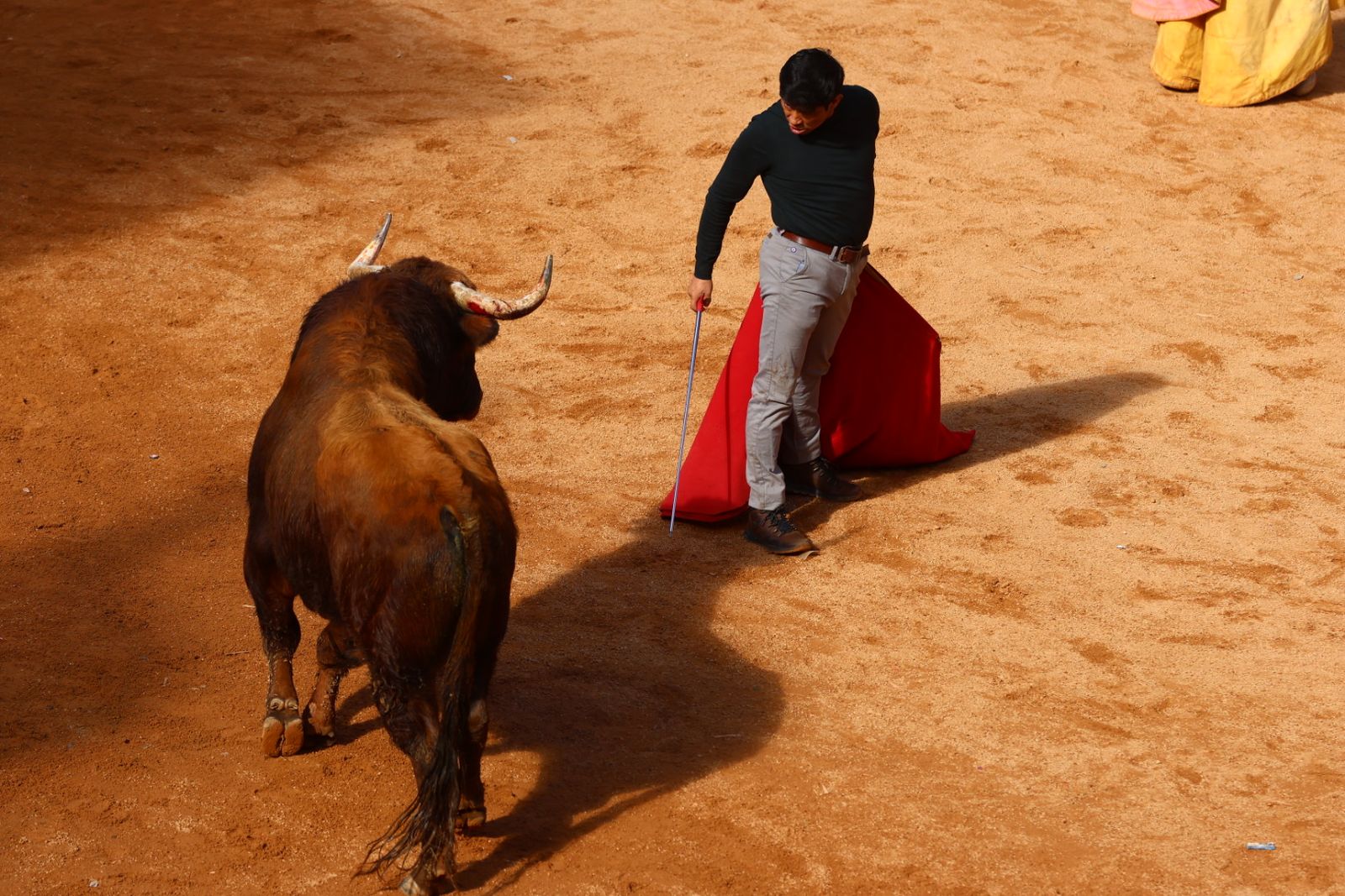 Capea de mañana en el martes del Carnaval del Toro de Ciudad Rodrigo