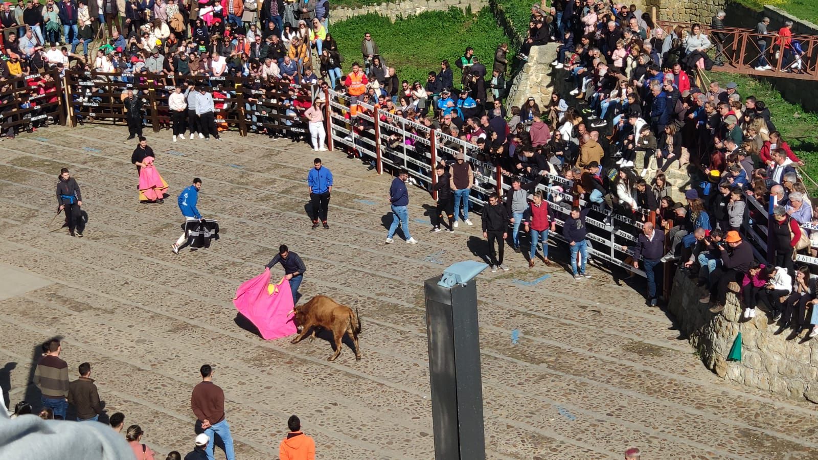 ambiente-con-la-suelta-de-vaquillas-en-el-domingo-de-pinata-en-ciudad-rodrigo-12