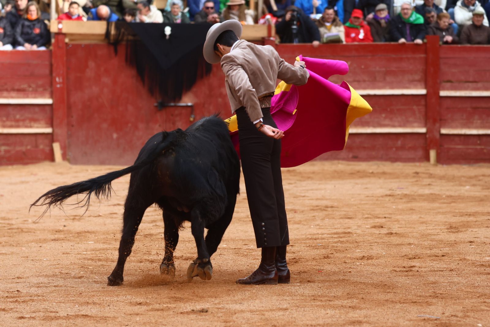 Festival del martes en el Carnaval del Toro 2026