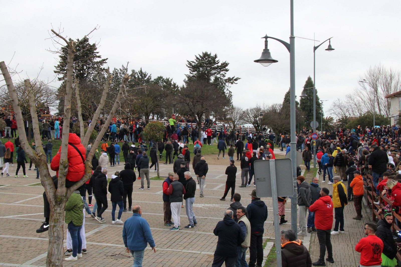 whatsapp-image-2025-03-01-at-11-53-51