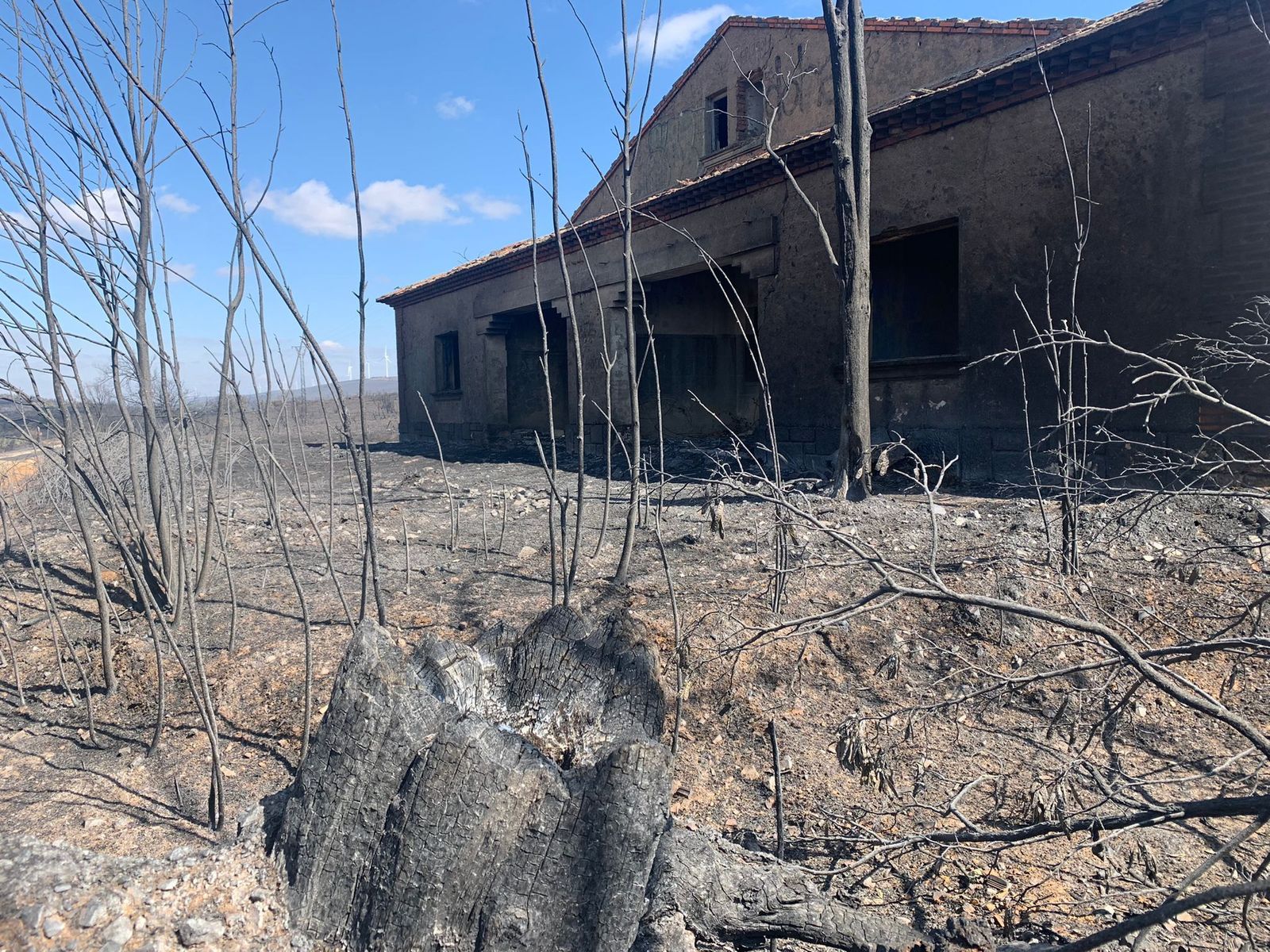 tras-el-horror-la-deslacion-en-zamora-foto-rafael-lorenzo-25