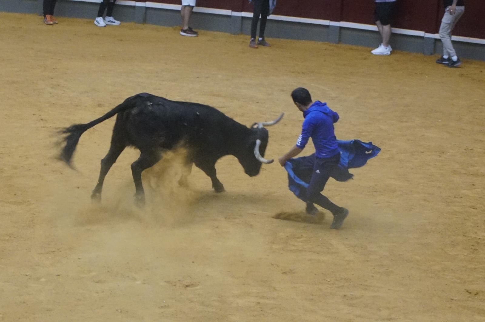 Toro del cajón y capea en Alba de Tormes