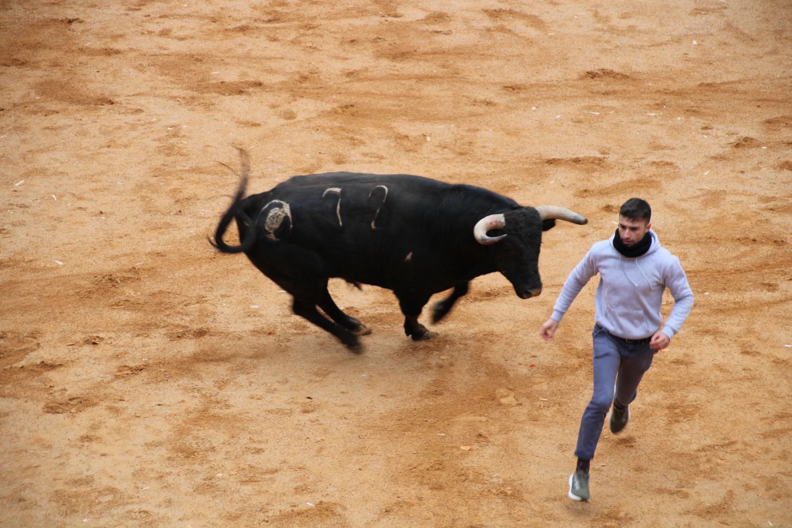 whatsapp-image-2025-03-01-at-13-18-51