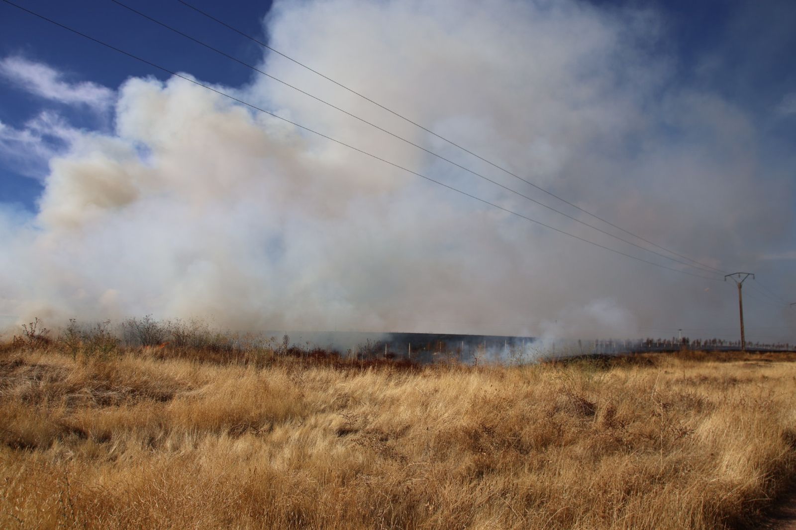 Incendio de rastrojos en la carretera de Matilla de los Caños