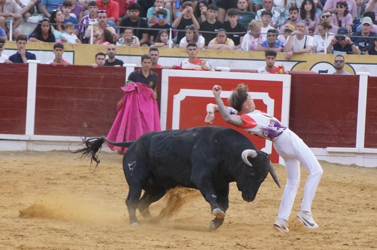 Gran ambiente en los cortes y la suelta de vaquillas de Peñaranda
