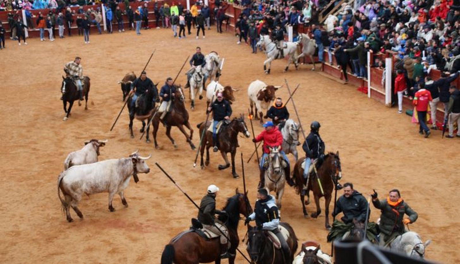 Ambiente en el encierro a caballo del Domingo de Carnaval 2025 en Ciudad Rodrigo (11)
