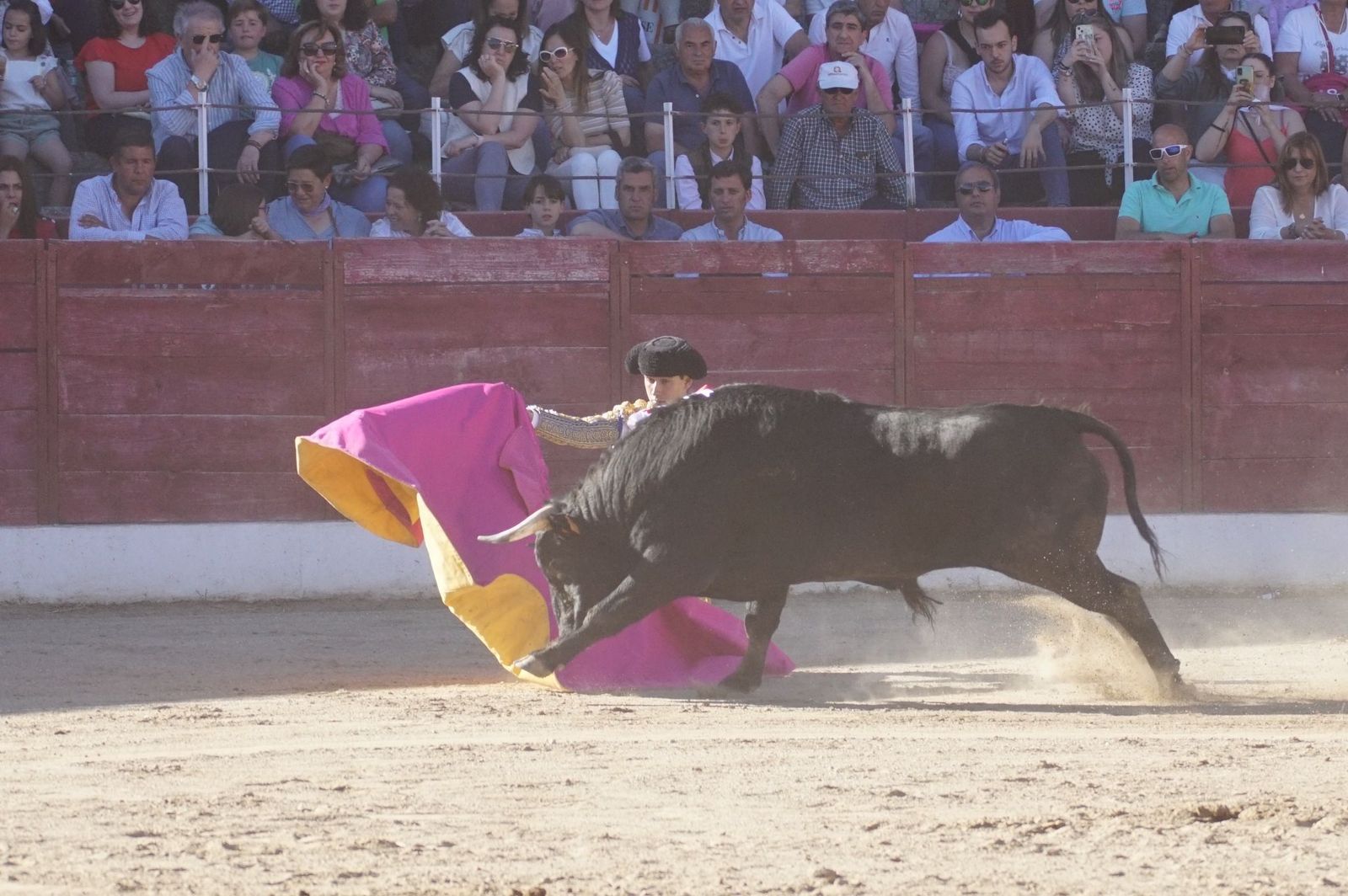 whatsapp-image-2024-06-02-at-22-12-16-1