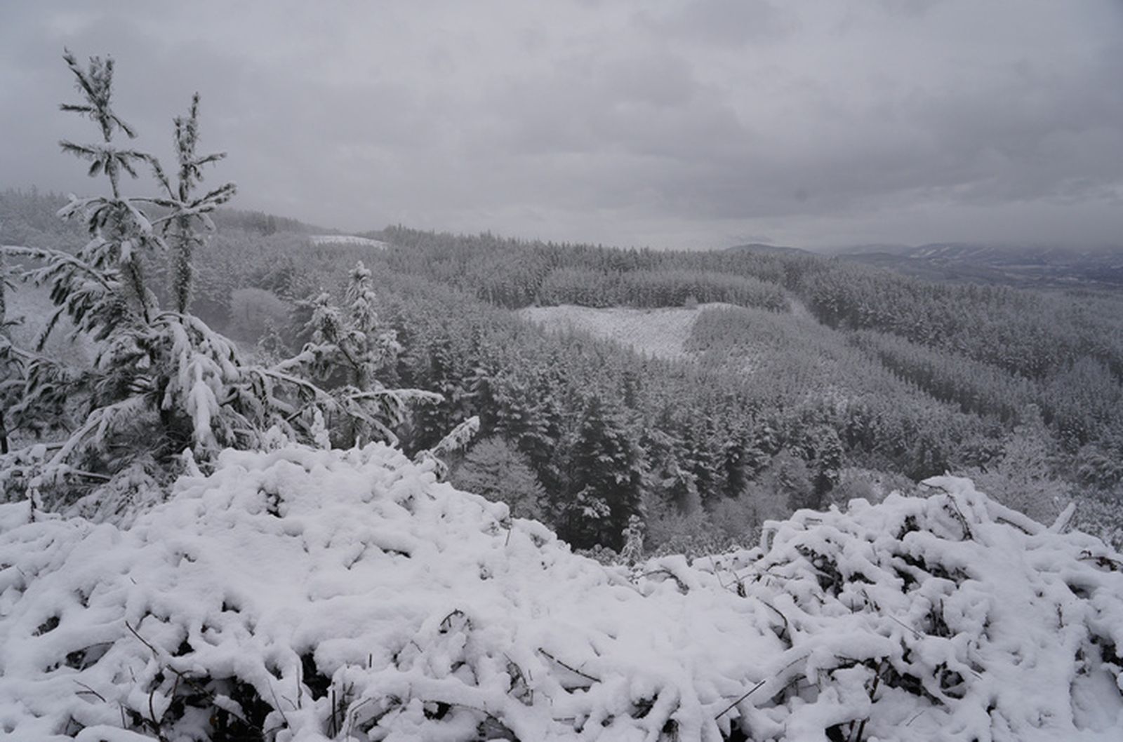Temporal con nieve por la borrasca Ingrid en Castilla y León