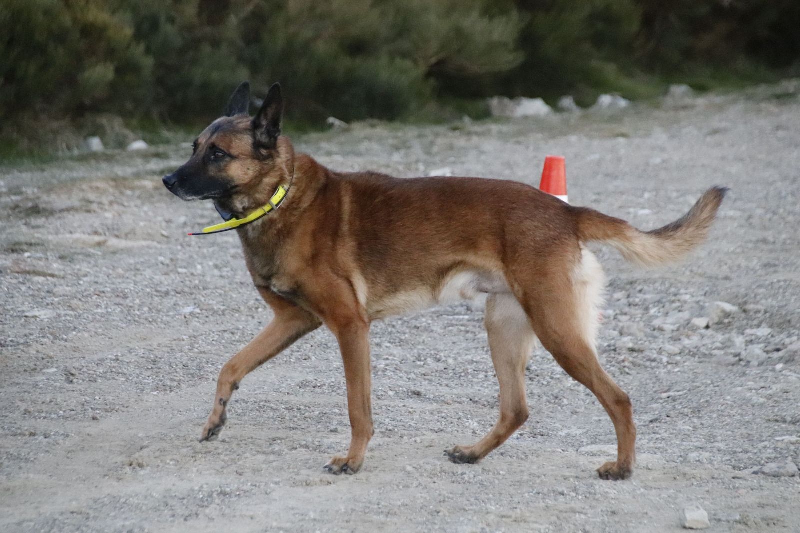 20230105091332-mg-9599