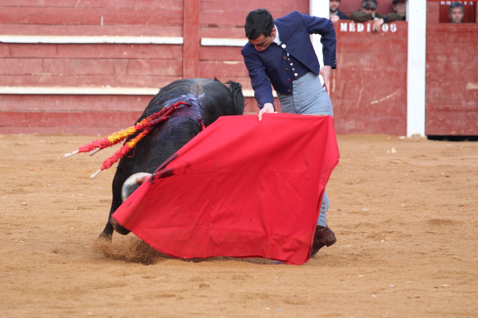 Chaves, El Capea y Pérez Pinto abren la Puerta Grande en el primer festival del Carnaval de Ciudad Rodrigo de 2023
