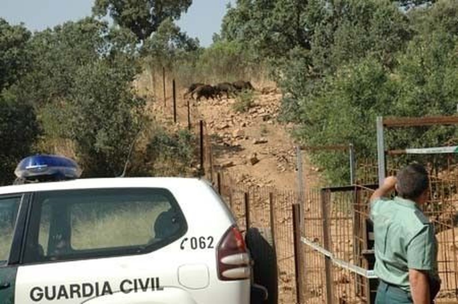 La Guardia Civil encuentra una trampa para capturar fauna de caza mayor de 2.000 metros cuadrados