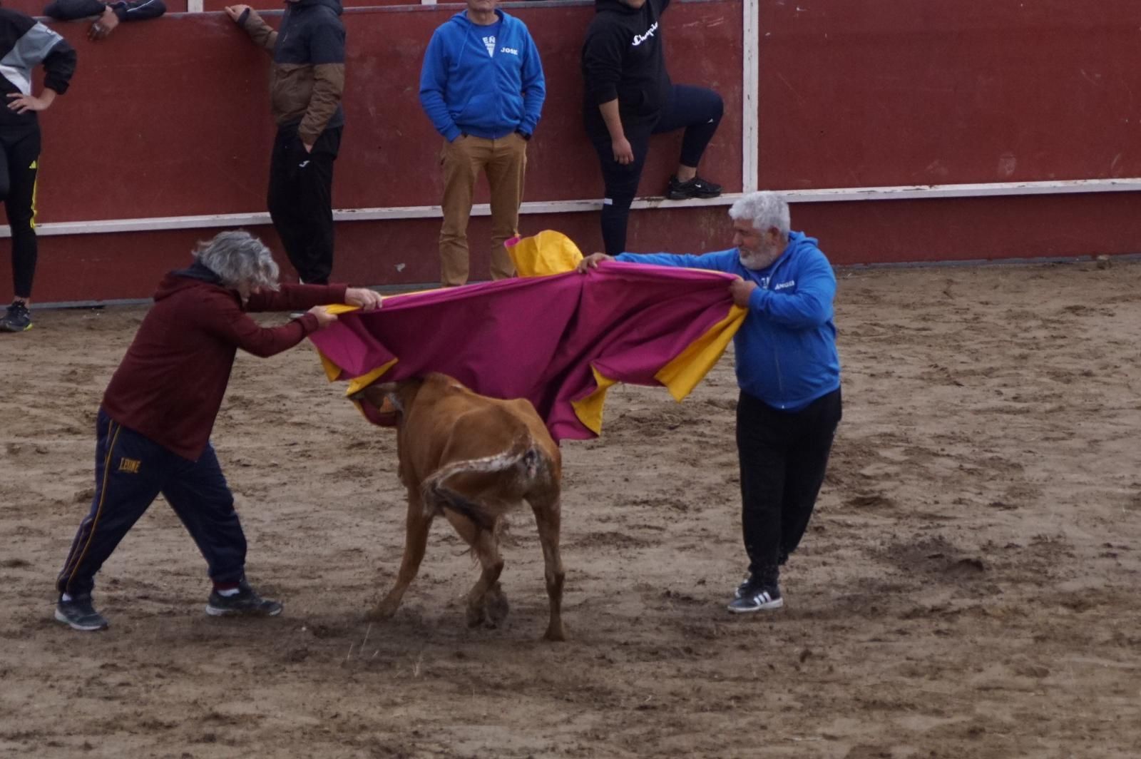 whatsapp-image-2023-05-22-at-20-19-34