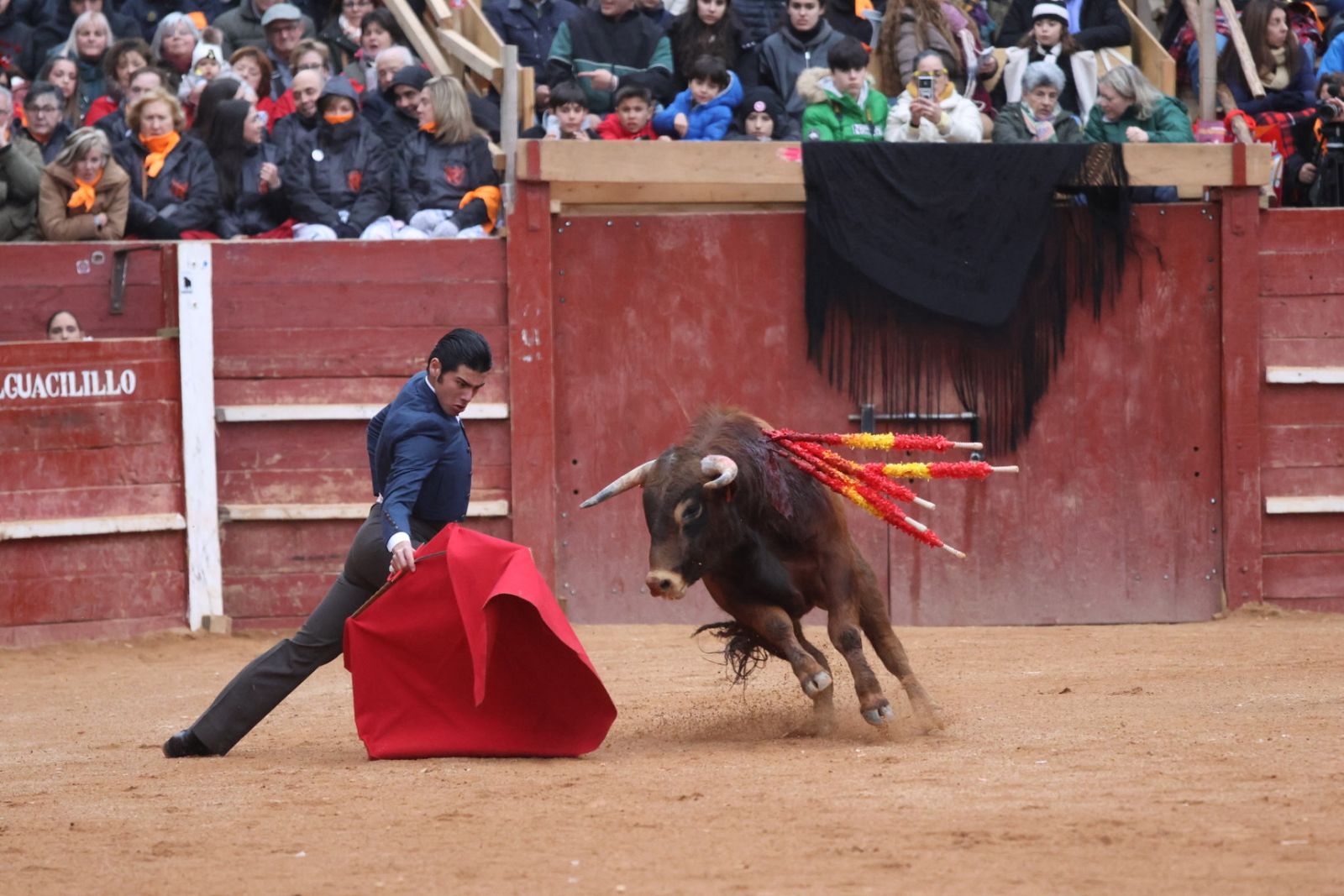 Novillada sin picadores del bolsín taurino y rejones en Ciudad Rodrigo