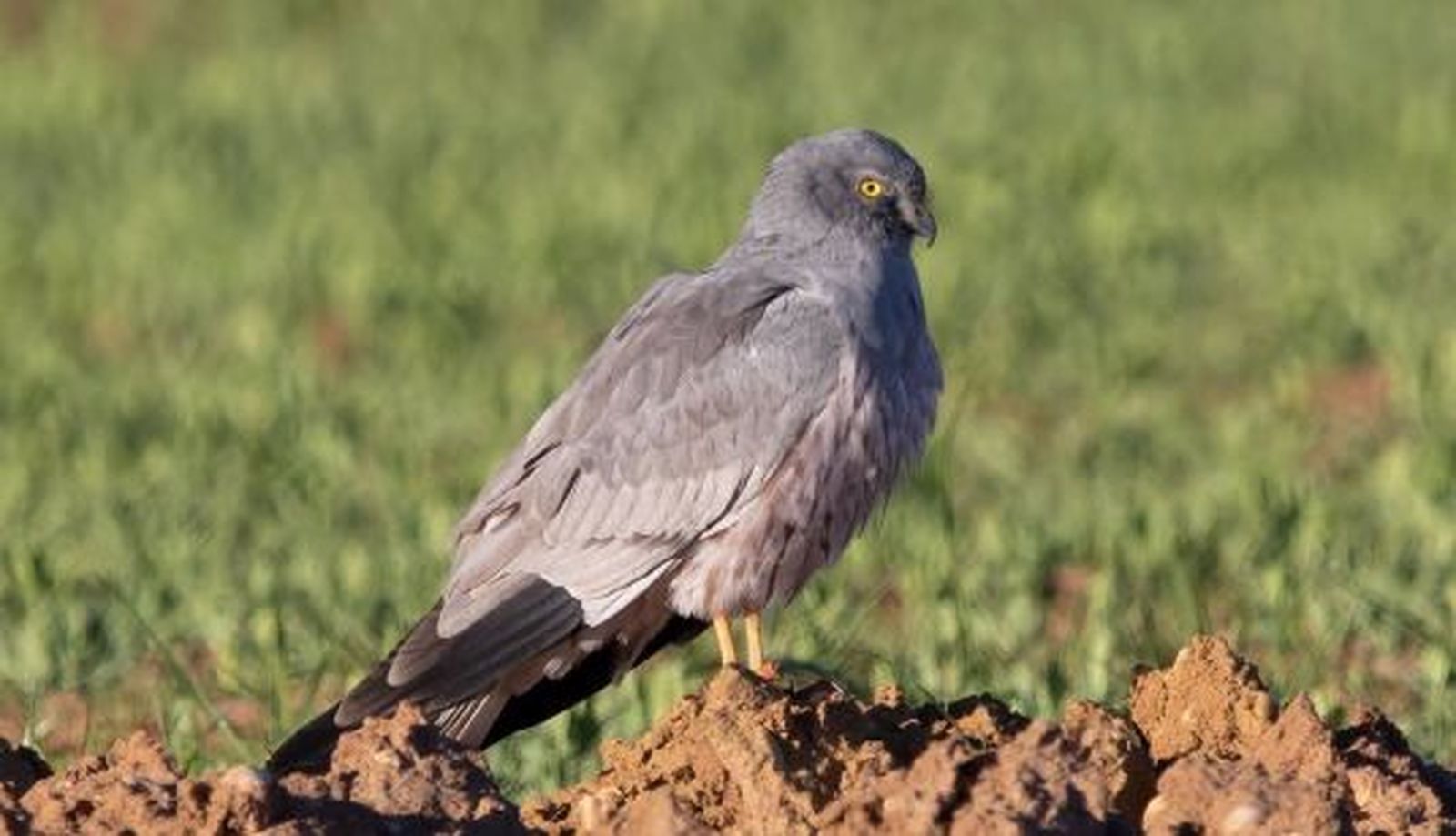 fotonoticia 20230521121128 1200