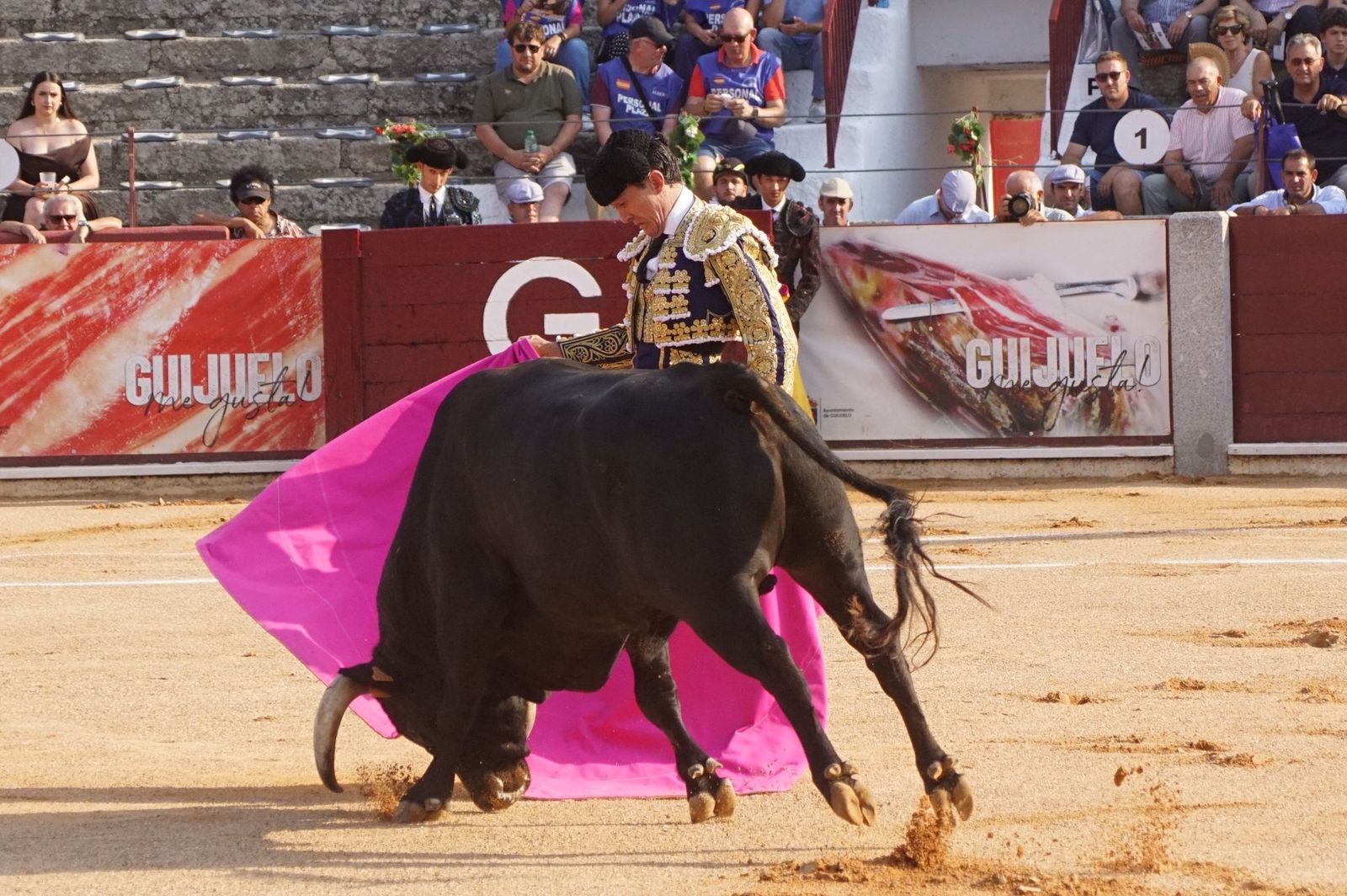 En imágenes la despedida de los ruedos de El Capea en Guijuelo